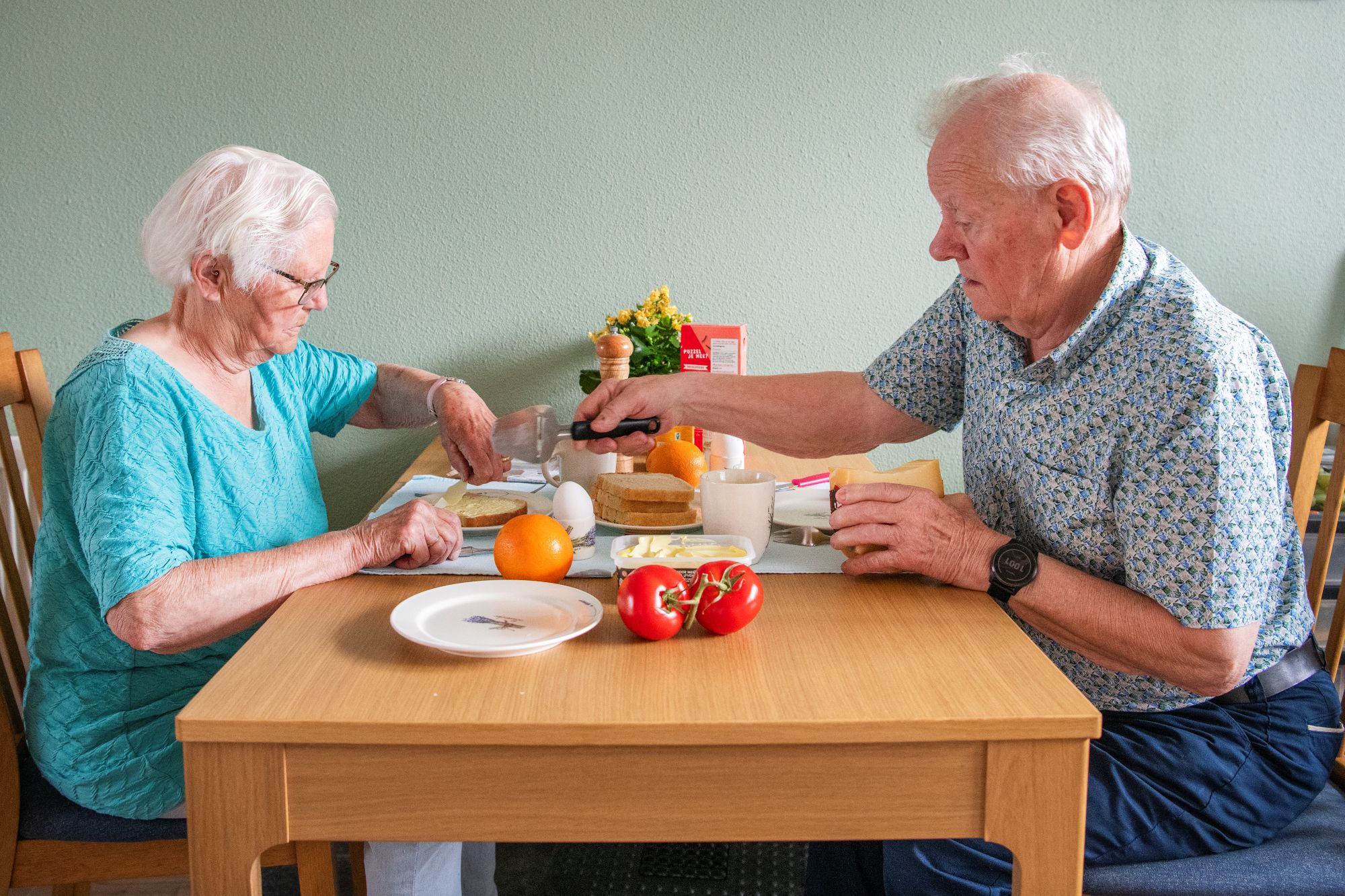 Ouderengeneeskundig Netwerk Thuis in Eemland (ONTiE)